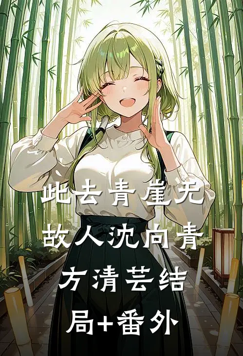 此去青崖无故人沈向青方清芸结局+番外