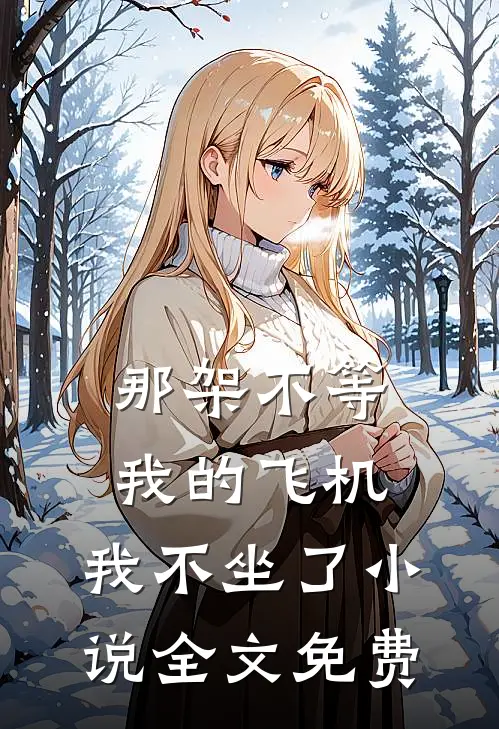 那架不等我的飞机，我不坐了小说全文免费