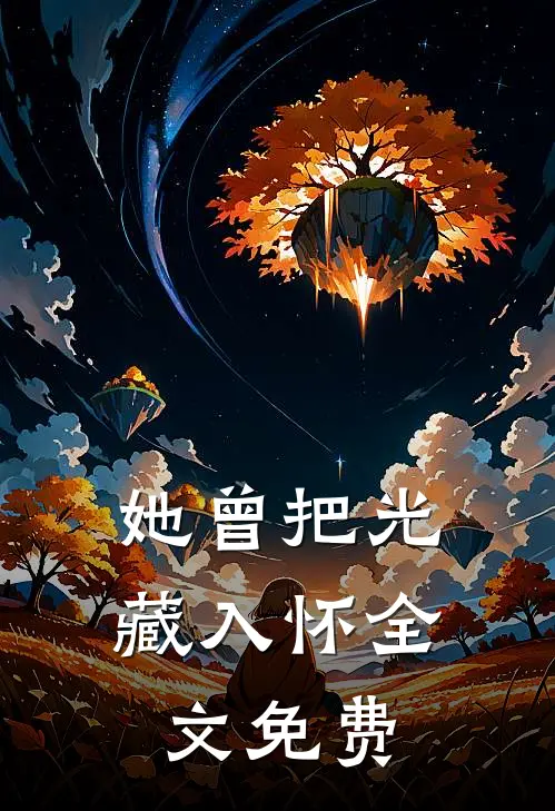 她曾把光藏入怀全文免费