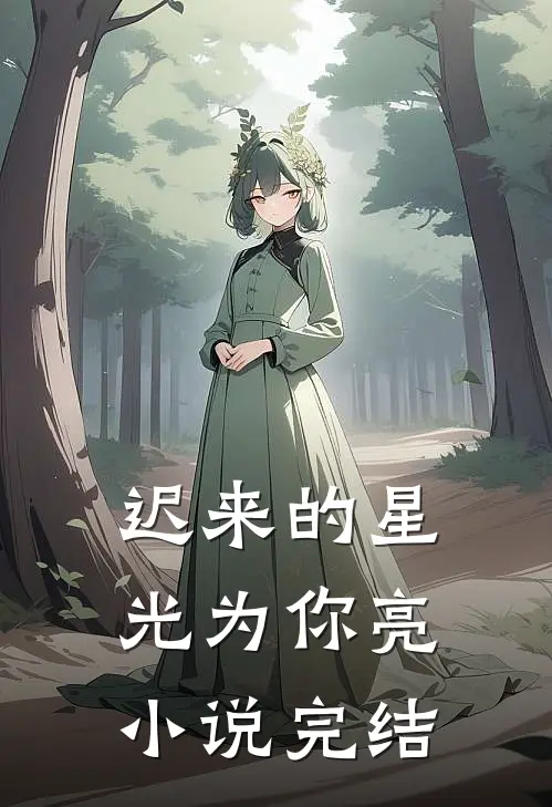迟来的星光为你亮小说完结