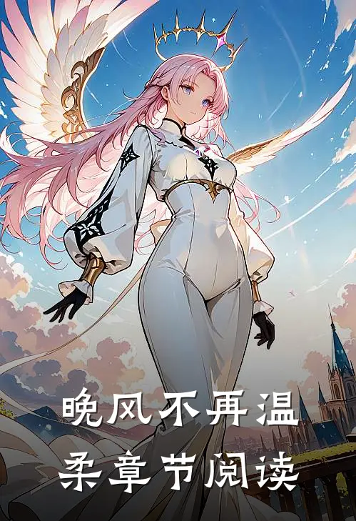 晚风不再温柔章节阅读