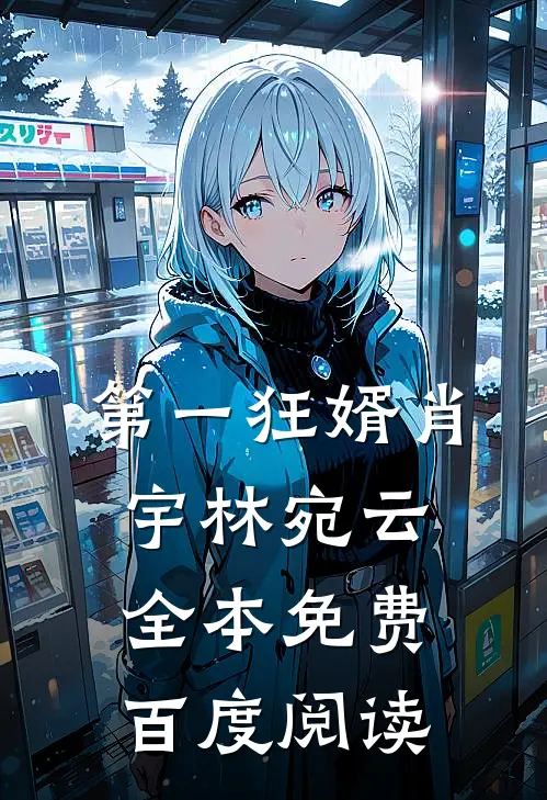 第一狂婿肖宇林宛云全本免费百度阅读