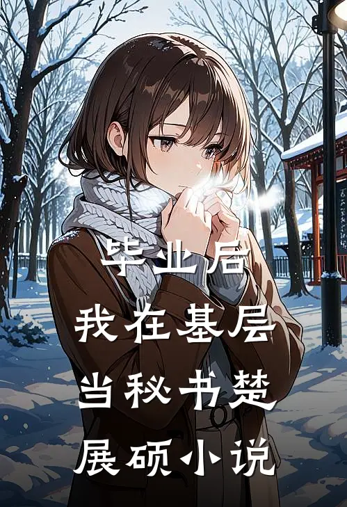 毕业后，我在基层当秘书楚展硕小说