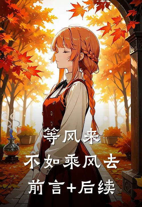 等风来，不如乘风去前言+后续