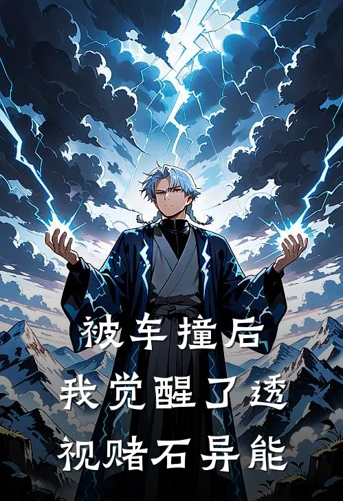 被车撞后，我觉醒了透视赌石异能