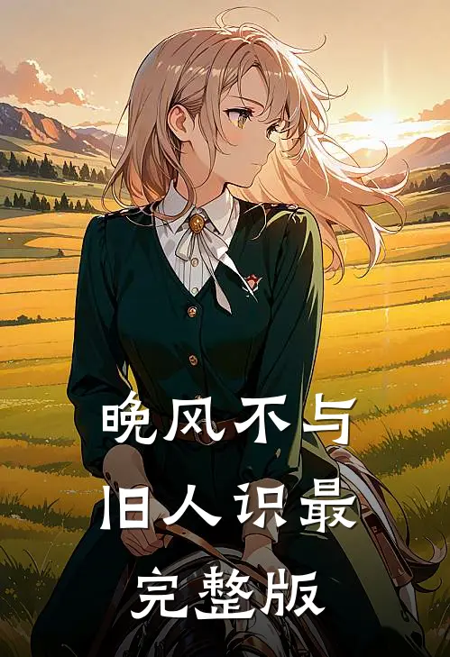 晚风不与旧人识最完整版