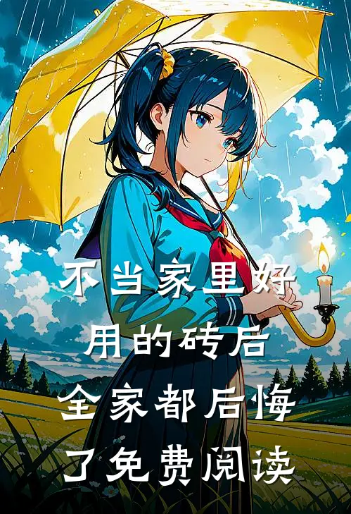 不当家里好用的砖后，全家都后悔了免费阅读