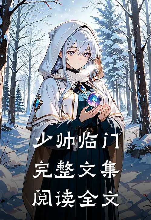 少帅临门完整文集阅读全文