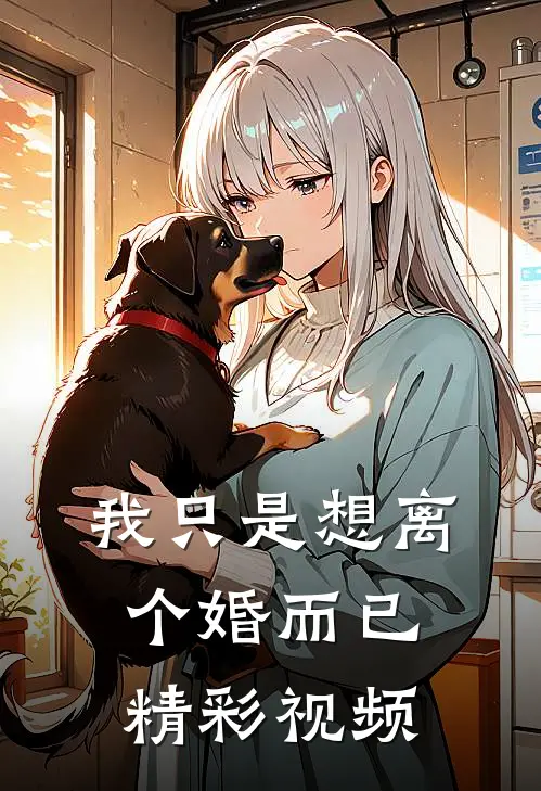 我只是想离个婚而已精彩视频