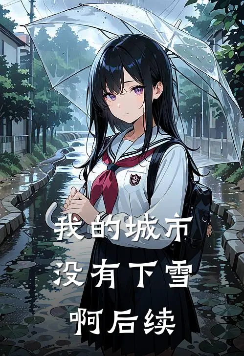 我的城市没有下雪啊后续