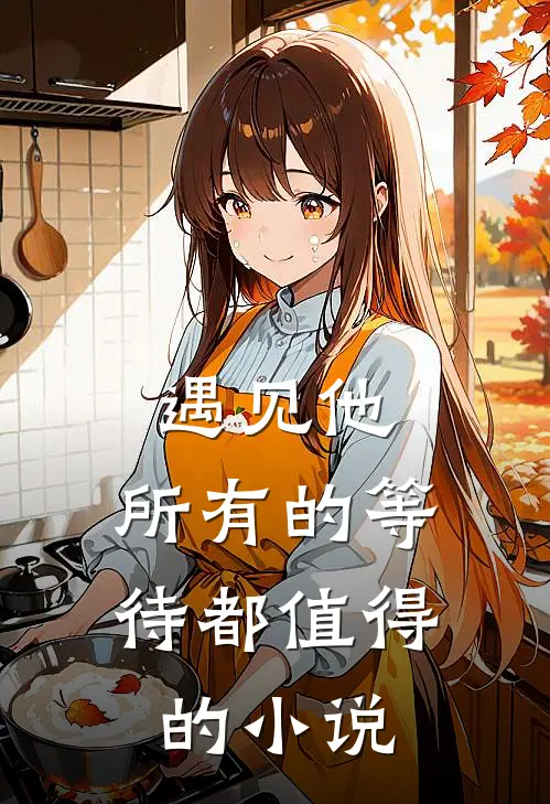 遇见他，所有的等待都值得的小说