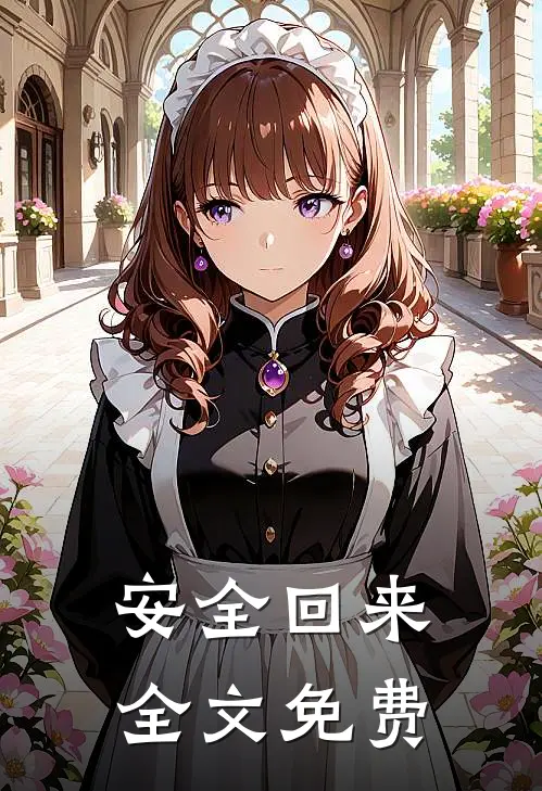 安全回来全文免费