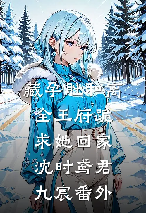 藏孕肚和离，全王府跪求她回家沈时鸢君九宸番外