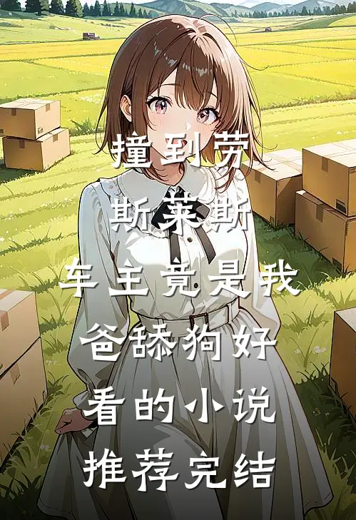 撞到劳斯莱斯，车主竟是我爸舔狗好看的小说推荐完结
