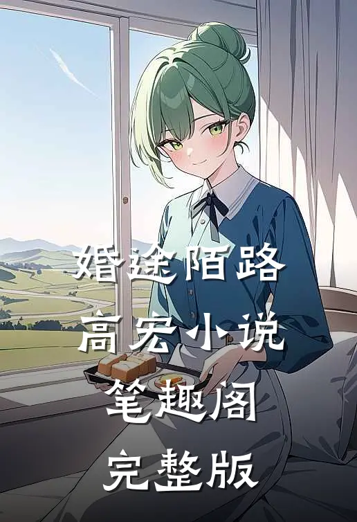 婚途陌路高宏小说笔趣阁完整版