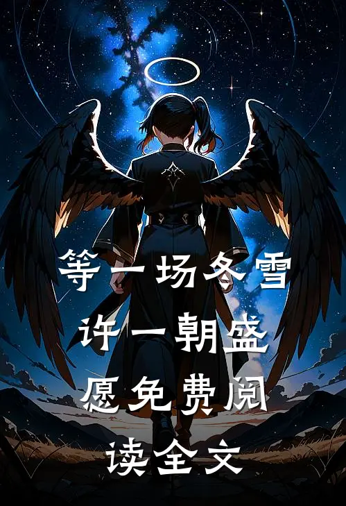 等一场冬雪，许一朝盛愿免费阅读全文