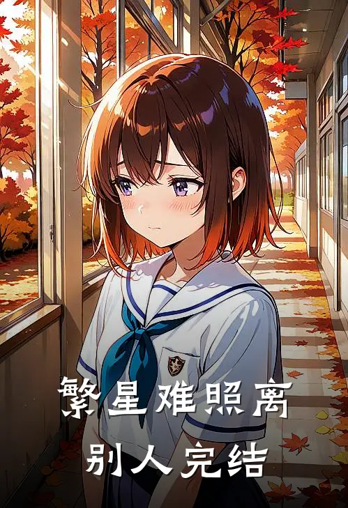 繁星难照离别人完结