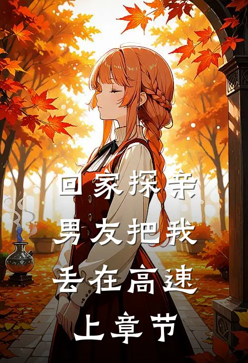回家探亲，男友把我丢在高速上章节