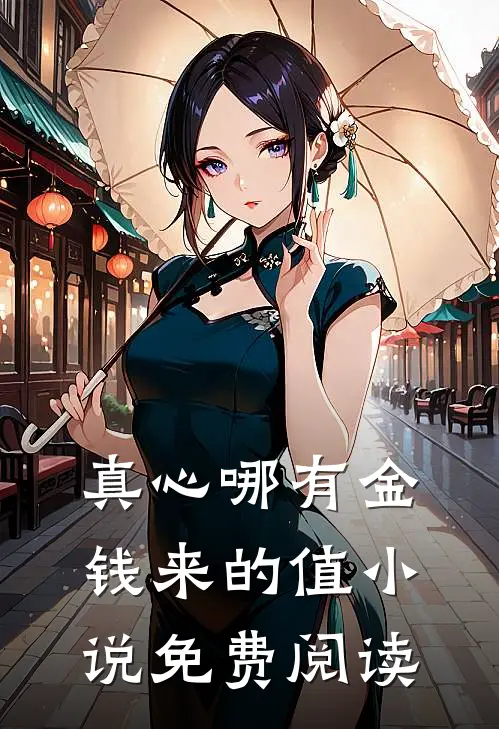 真心哪有金钱来的值小说免费阅读