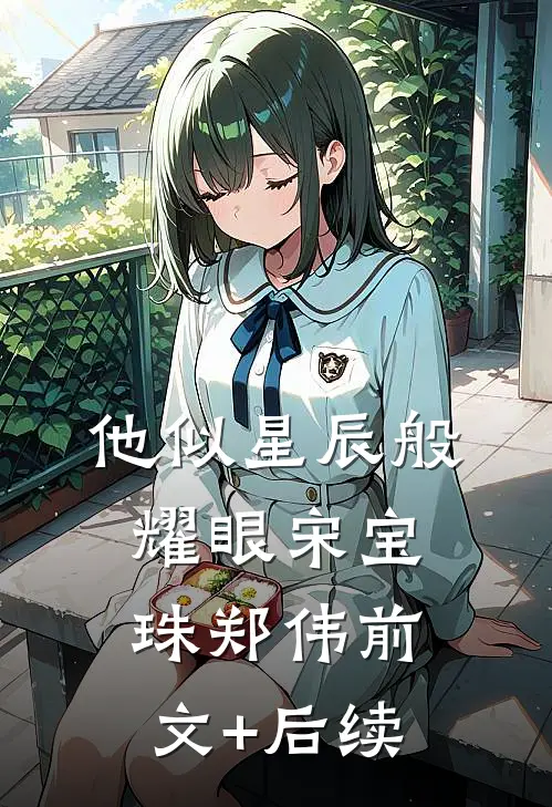 他似星辰般耀眼宋宝珠郑伟前文+后续