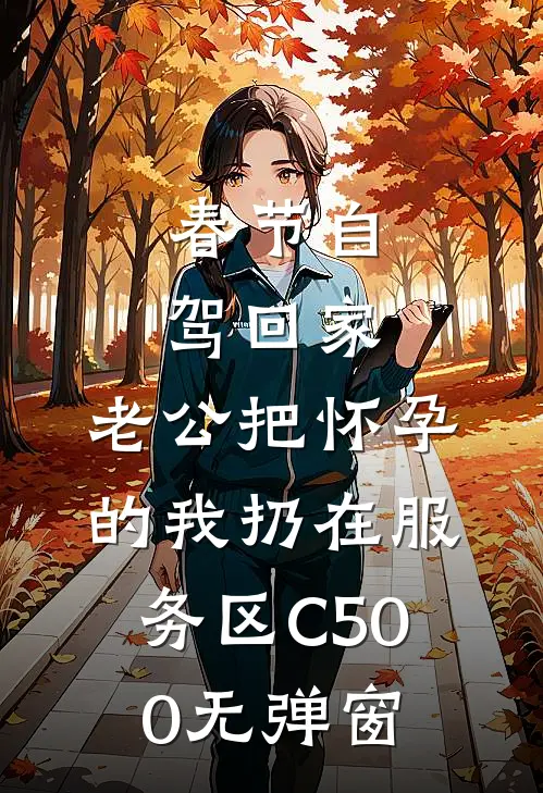 春节自驾回家，老公把怀孕的我扔在服务区C500无弹窗