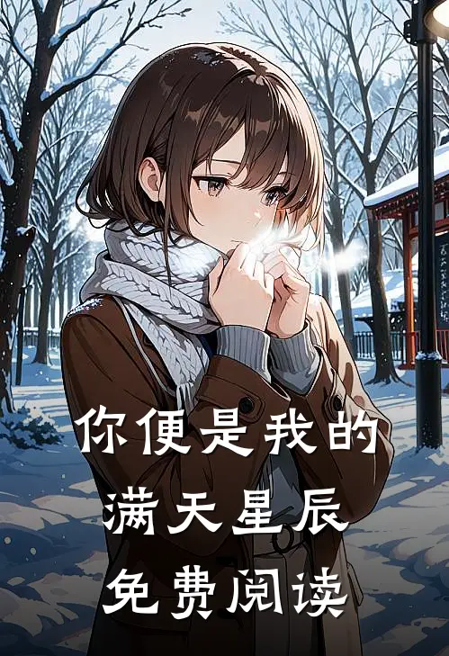 你便是我的满天星辰免费阅读