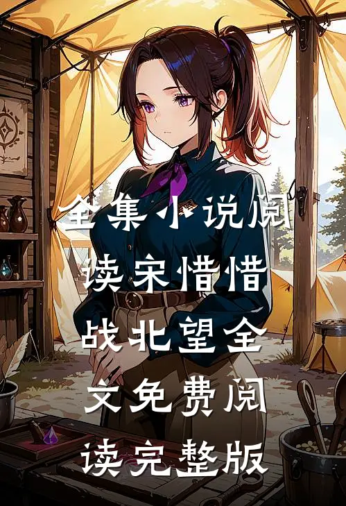 全集小说阅读宋惜惜战北望全文免费阅读完整版