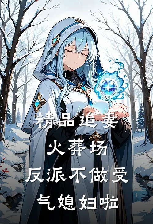 精品追妻火葬场：反派不做受气媳妇啦