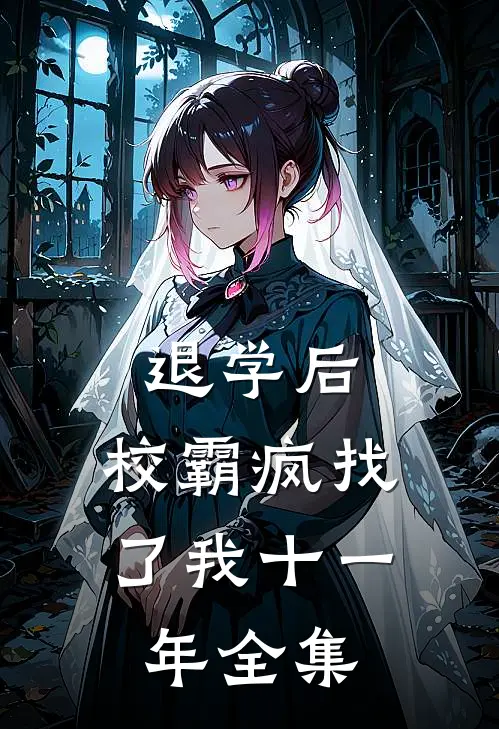 退学后，校霸疯找了我十一年全集