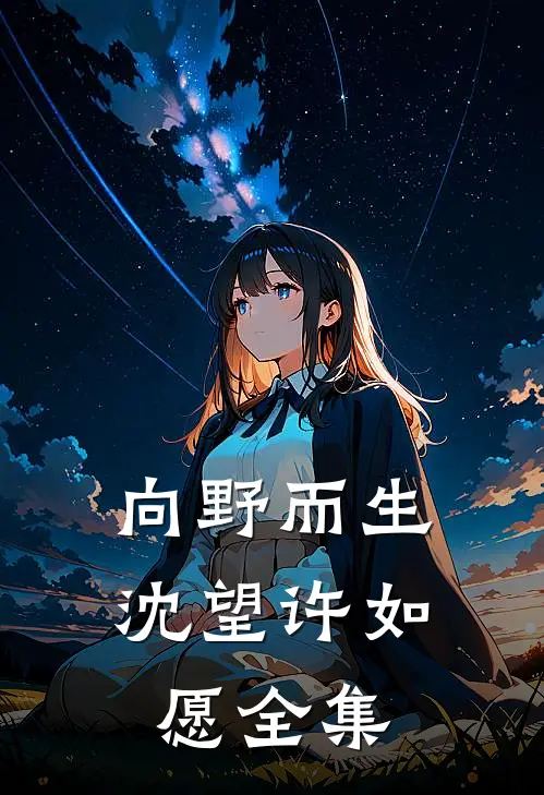 向野而生沈望许如愿全集