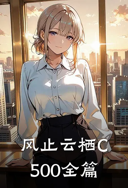 风止云栖C500全篇