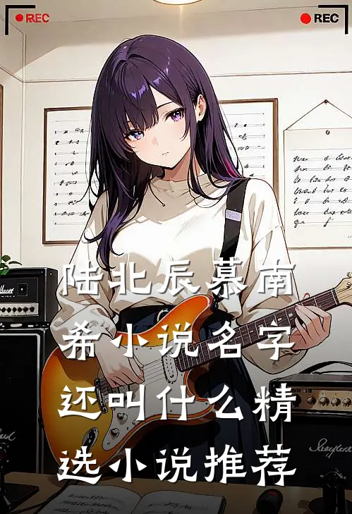 陆北辰慕南希小说名字还叫什么精选小说推荐