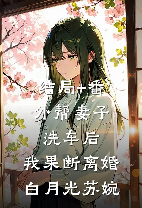 结局+番外帮妻子洗车后，我果断离婚白月光苏婉