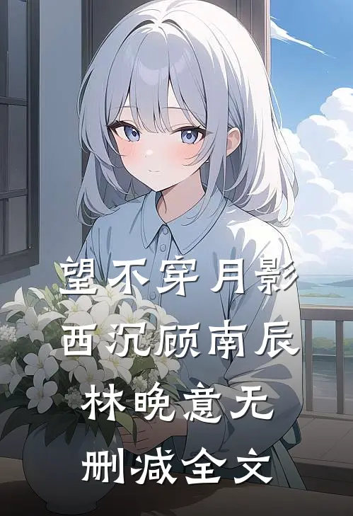 望不穿月影西沉顾南辰林晚意无删减全文
