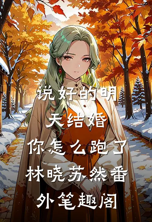 说好的明天结婚，你怎么跑了。：林晓苏然番外笔趣阁