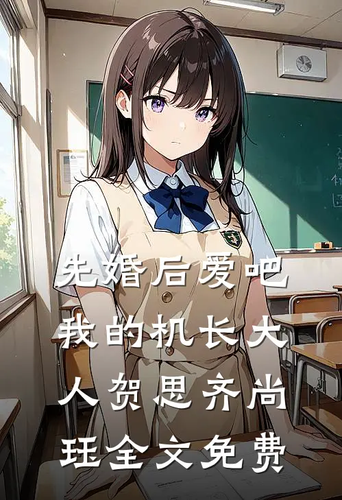 先婚后爱吧，我的机长大人贺思齐尚珏全文免费