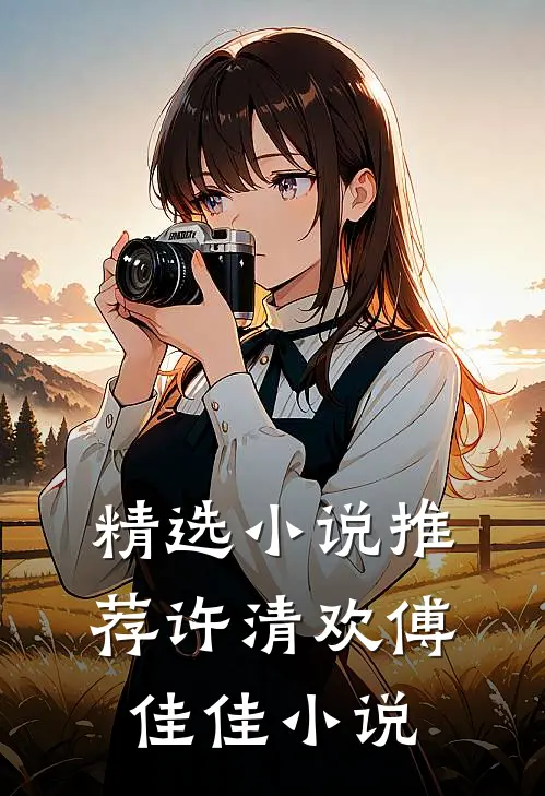 精选小说推荐许清欢傅佳佳小说