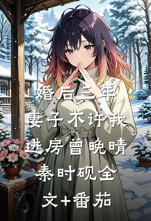 婚后三年，妻子不许我进房曾晚晴秦时砚全文+番茄