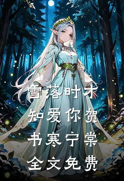 雪落时才知爱你贺书寒宁棠全文免费