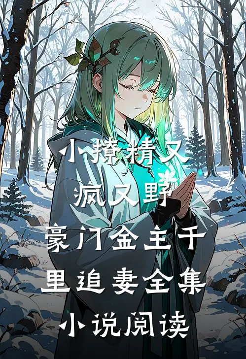 小撩精又疯又野，豪门金主千里追妻全集小说阅读