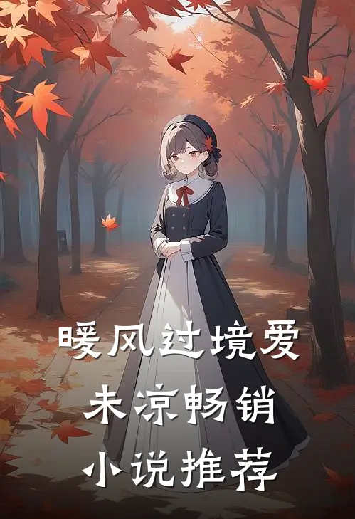 暖风过境爱未凉畅销小说推荐