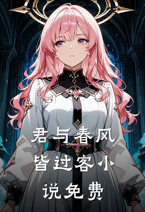 君与春风皆过客小说免费