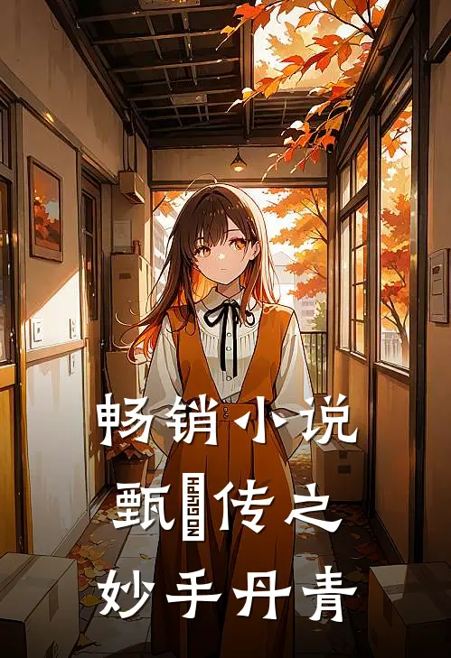 畅销小说甄嬛传之妙手丹青