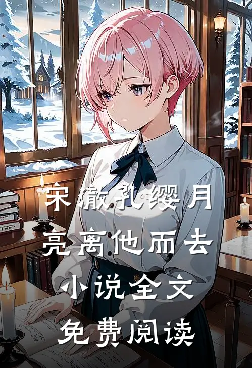 宋澈孔缨月亮离他而去小说全文免费阅读