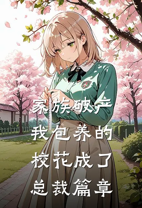 家族破产，我包养的校花成了总裁篇章