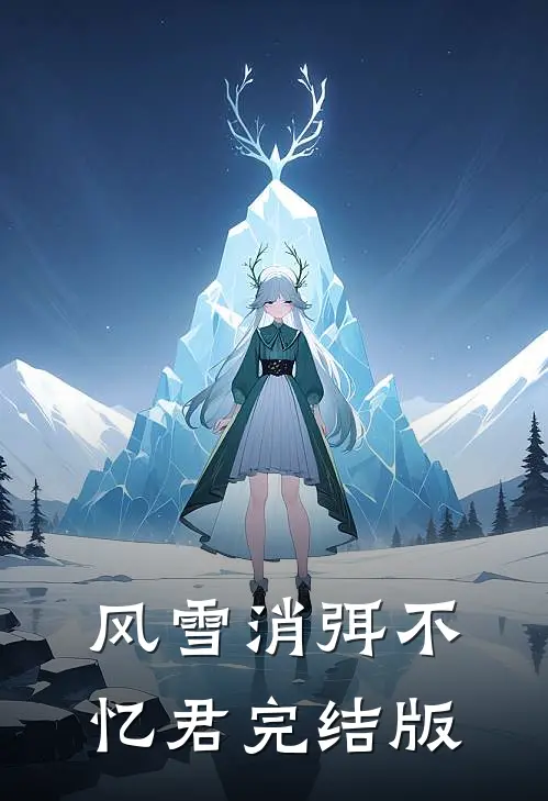 风雪消弭不忆君完结版
