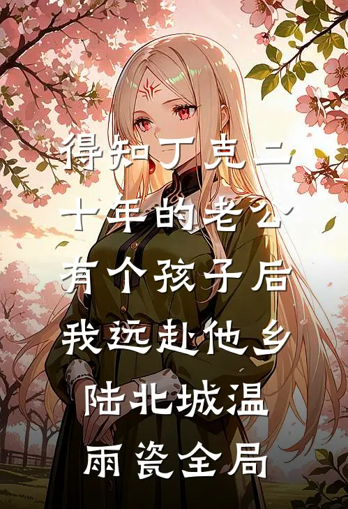 得知丁克二十年的老公有个孩子后，我远赴他乡陆北城温雨瓷全局