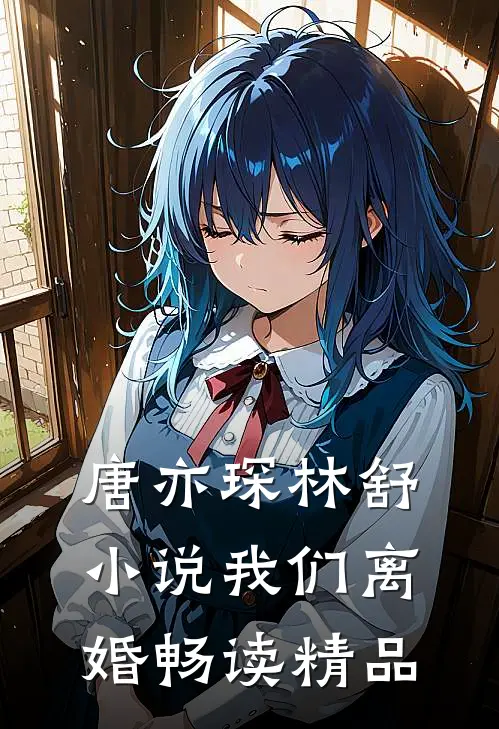 唐亦琛林舒小说我们离婚畅读精品
