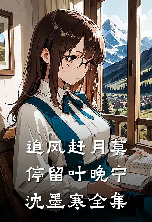追风赶月莫停留叶晚宁沈墨寒全集