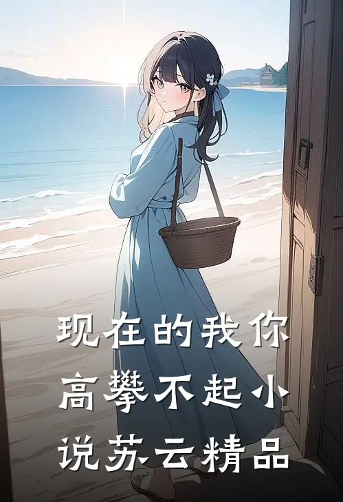 现在的我你高攀不起小说苏云精品